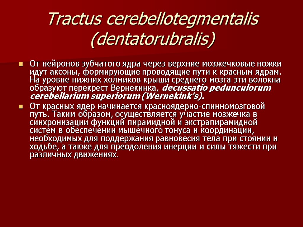 Tractus cerebellotegmentalis (dentatorubralis) От нейронов зубчатого ядра через верхние мозжечковые ножки идут аксоны, формирующие